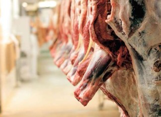 Vatandaşa yedirdiler! Bosna’dan ithal edilen karkas et hastalıklı çıktı