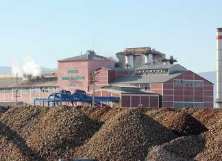 Şeker fabrikalarının altında hangi lobi var