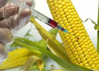 Gizlenen zehir raporu ortaya çıktı… NBŞ’nin zararları resmen belgelendi