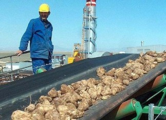 ‘Şeker’den Cargill maddesi çıktı