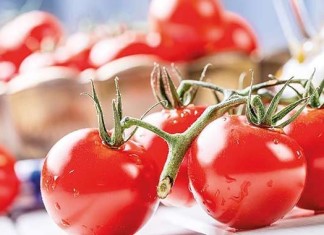 Patates ve soğandan sonra şimdi de domates krizi: Yüzde 400 arttı