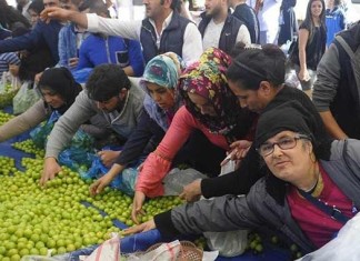 Merkez Bankası: Hayat pahalılığı yükselme eğiliminde