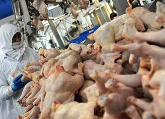 Rusya’dan tonlarca tavuk ve mandalinaya iade