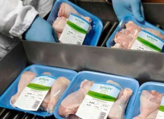 Şeker Piliç markası icradan kaça satılık?