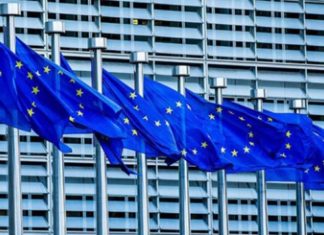 AB Kamu – Özel Sektör işbirliği ( PPP) Kalkınma Programı