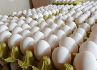 Son Dakika! Rekabet Kurumu, yumurta sektörüne yönelik 2 ayrı soruşturma başlattı