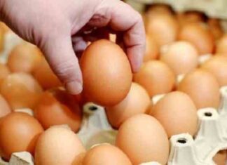 Yumurta fiyatları ikiye katladı