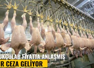 Tavukçular fiyatta anlaşmış: Ağır ceza geliyor