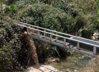 Erpiliç 3’üncü kez yakalandı: 15 günde 8 milyon 120 bin TL ceza