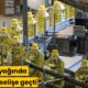 aycicek-yaginda-fiyat-yukselise-gecti-287430_news_big