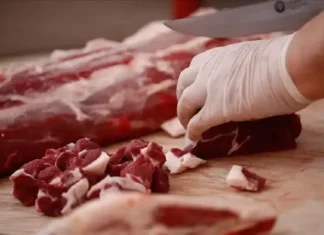 5 firmanın etlerinden at eti çıktı! İşte Sakarya’da hileli gıda üreten firmalar