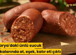 Sakarya’daki ünlü sucuk markalarında at, eşek, katır eti çıktı