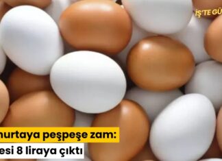 Yumurtaya peşpeşe zam: Tanesi 8 liraya çıktı