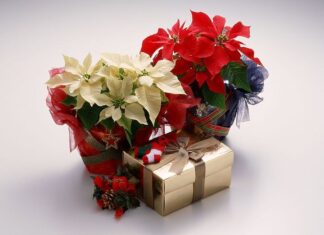 Rekabet Kurumu, Çiçeksepeti hakkındaki kararını açıkladı