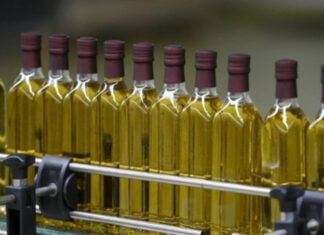 28 ülke yarıştı… Zeytinyağında en iyi firma Türkiye’den!