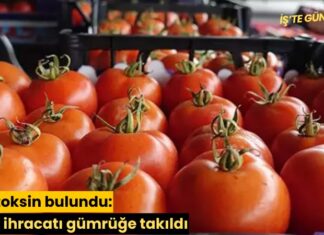 Aflatoksin bulundu: Gıda ihracatı gümrüğe takıldı