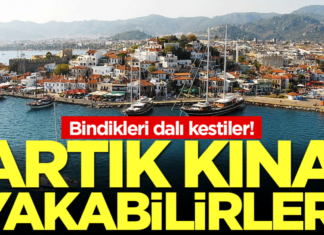 Artık kına yakabilirler: Sektör bindiği dalı kesti!