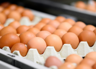 Bu marka yumurtaları sakın tüketmeyin! Satışı durduruldu – Sözcü Gazetesi