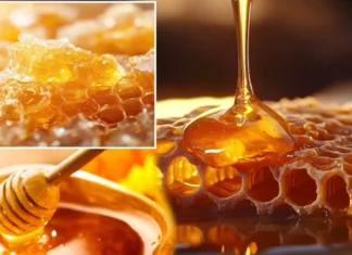 Sahte bal nasıl anlaşılır? Kristalleşen bal sahte mi gerçek mi? İşte gerçek balı ayırt etmenin en güvenilir yolları… | Aktüel Haberleri