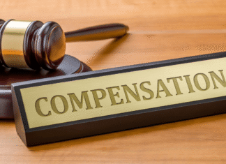 Compensation for the Net Extra Costs of Public Service Obligations – Lexxion