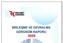 Birleşme ve Devralma Görünüm Raporu
