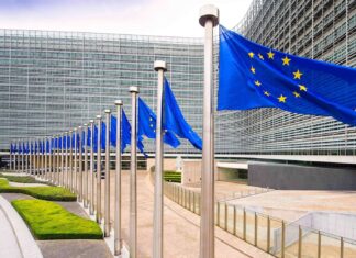 Üye Devletler, 2024’te Devlet Yardımlarının %90’ını AB Önceliklerine Yönlendirdi