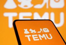 Türkiye’de 1000 TL, TEMU’da 200 TL demişlerdi: Yasaklandı