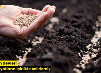 Tohum devleri satış fiyatlarını birlikte belirlemiş
