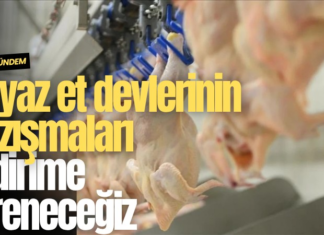 Beyaz et devlerinin yazışmaları ortaya çıktı: İndirime direneceğiz