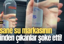 Efsane su markasının içinden çıkanlar şoke etti!