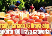 Şeftaliyi tarlada 15 liraya alıp markette 100 liraya satıyorlar