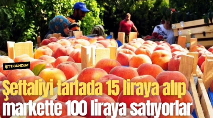 Şeftaliyi tarlada 15 liraya alıp markette 100 liraya satıyorlar