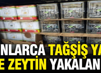 Piyasa değeri 2 milyon TL: Tonlarca tağşiş yağ ve zeytin yakalandı