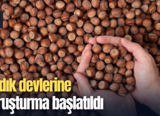 Fındık devlerine soruşturma başlatıldı