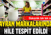 Ayran markalarında hile tespit edildi: Bakanlık açıkladı