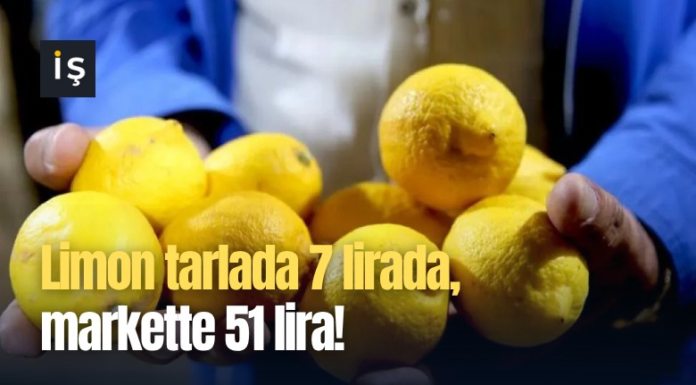 Limon tarlada 7 lirada, markette 51 lira!